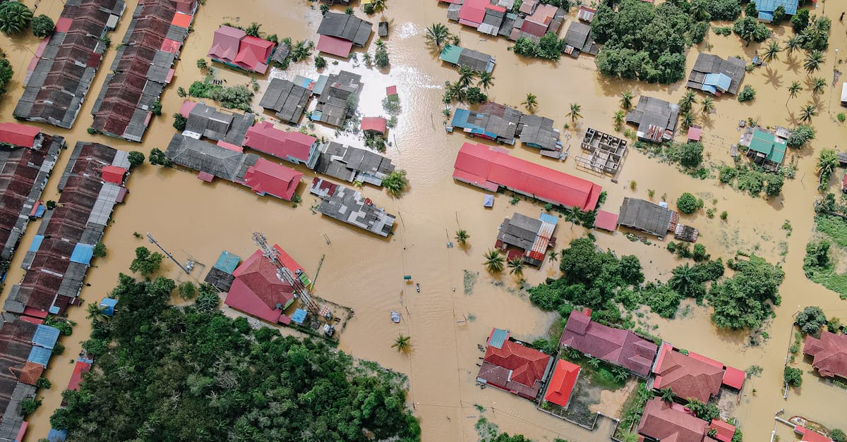 Water damage restoration service in Lexington, KY